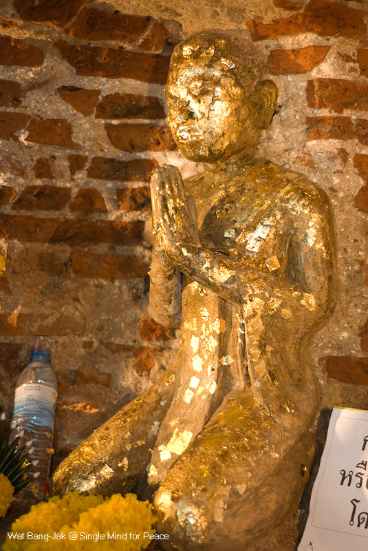 DSC_0015.jpg