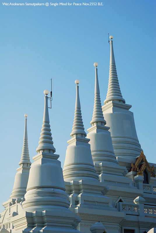 DSC_0017.jpg
