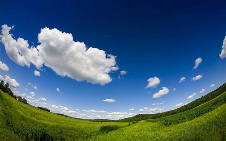 fish-eyed-view-of-blue-sky.jpg