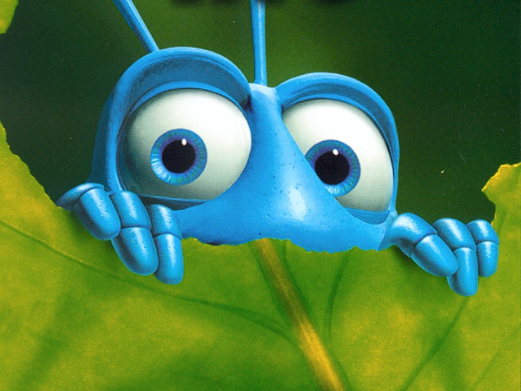 bug02-1024.jpg