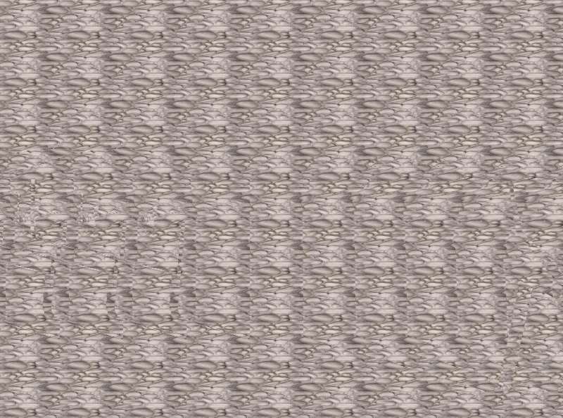 55010_6.jpg