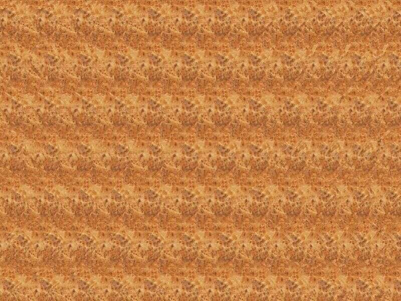 55010_9.jpg