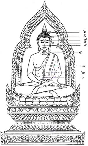 Y4346389-4.jpg