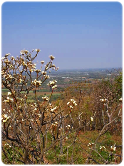 Y8867368-8.jpg