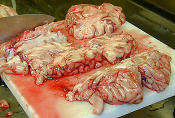 Head0017.jpg