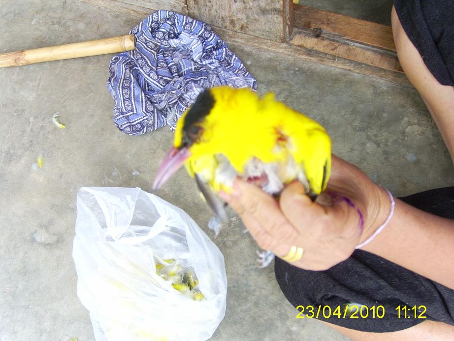 PIC_2783.JPG