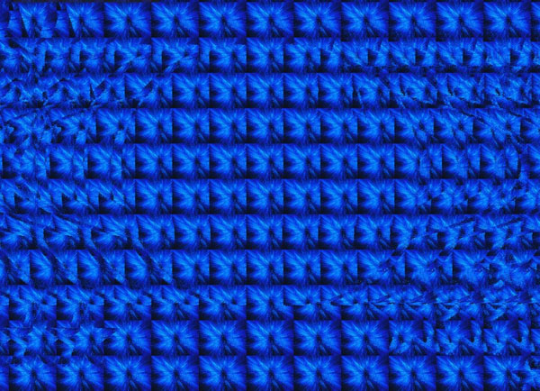 5587.JPG