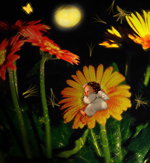 899653auo0ce263x.gif