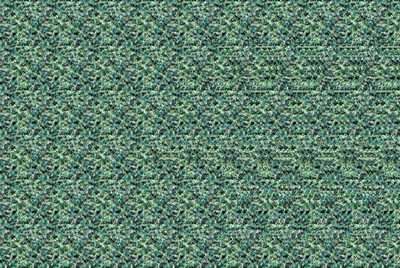 3674.jpg
