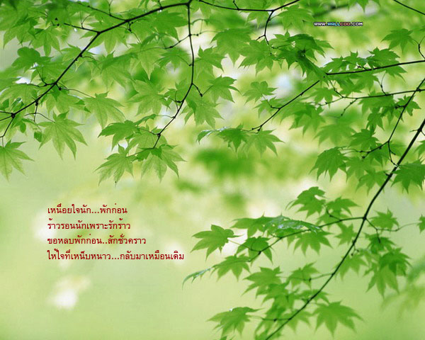 nature1411aq4 copy.jpg