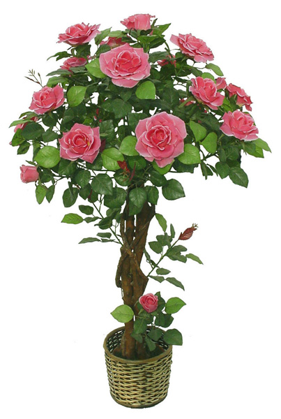 1-3M-Rose-Flower-Tree-LF-F-585KD-.jpg