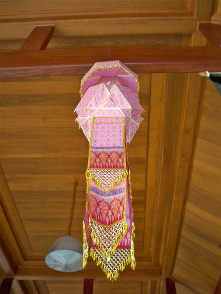 100_8241 (Medium).JPG