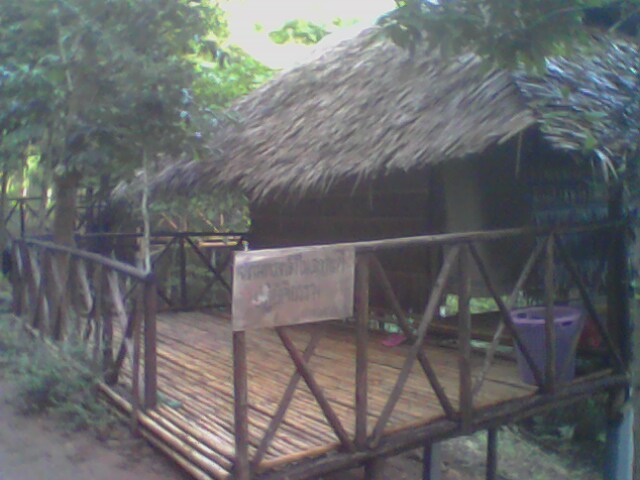 IMG0191A.jpg