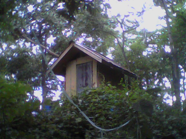 IMG0246A.jpg