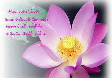 RTEmagicC_7675_02_jpg.jpg