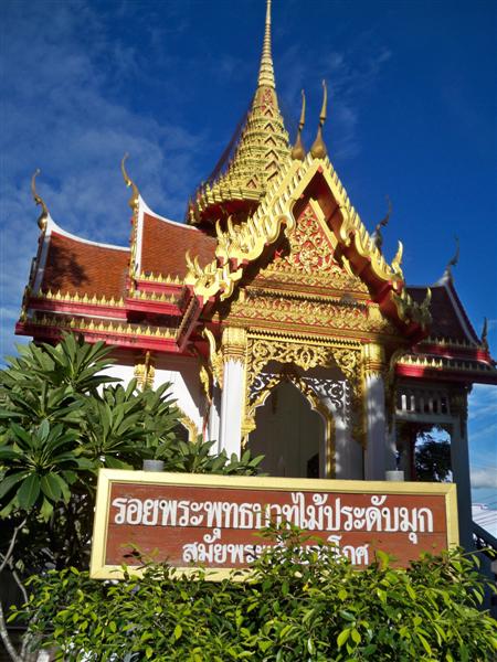 100_8543 (Medium).JPG