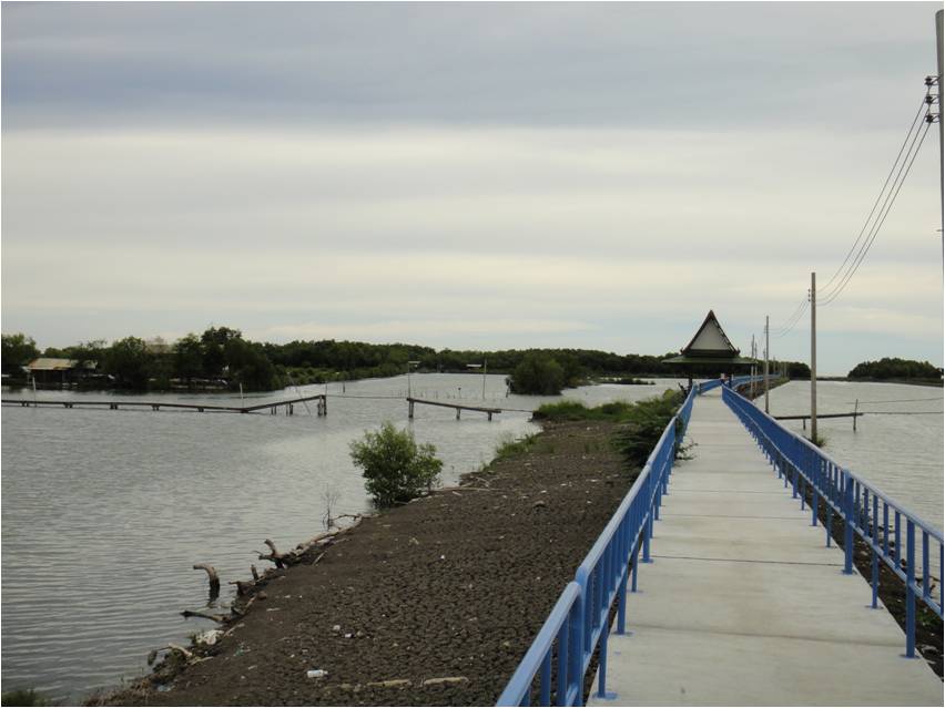 Picture8.jpg