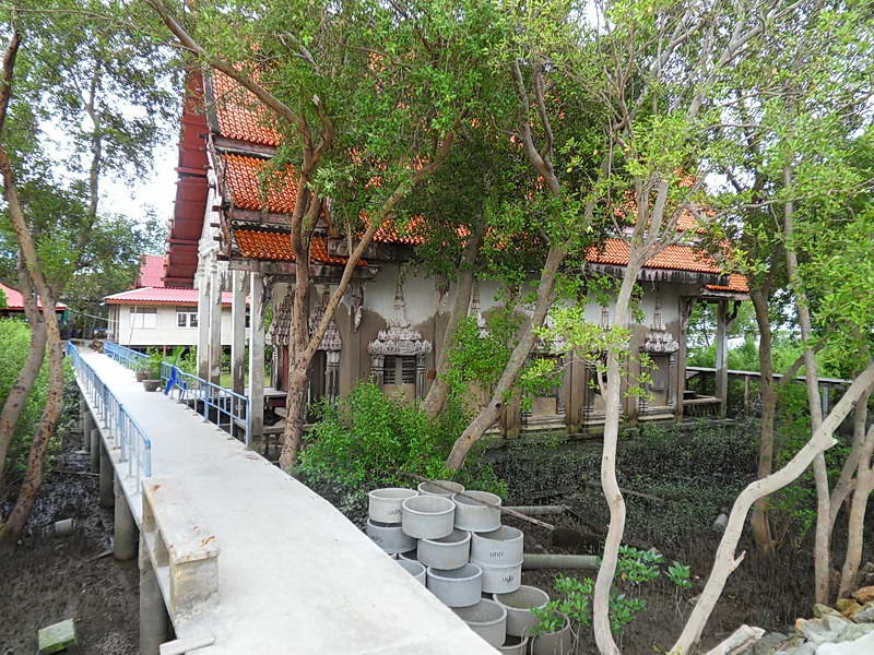 SDC14172.jpg