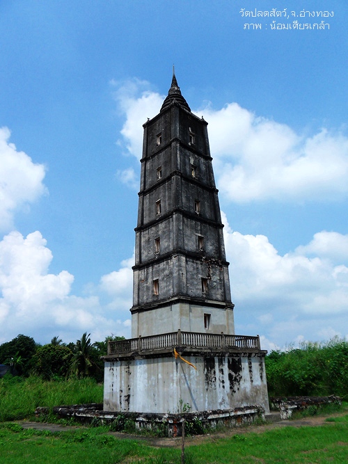 SDC14476.jpg