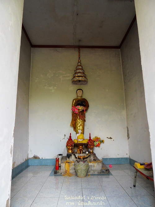 SDC14484.jpg