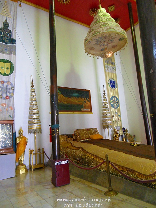 SDC14666.jpg