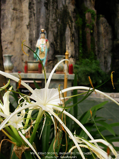 SANY0081.jpg