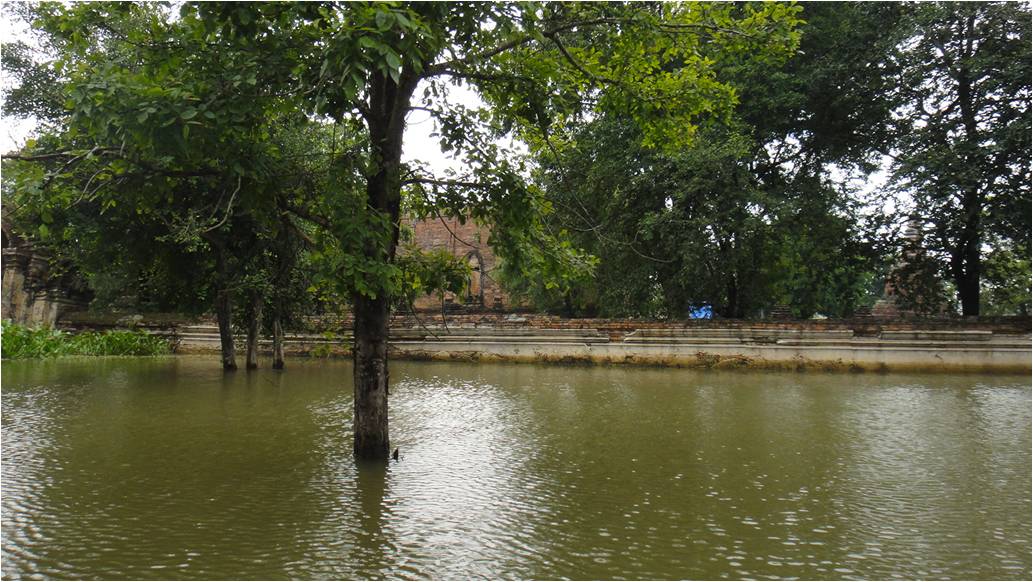 Picture7.jpg