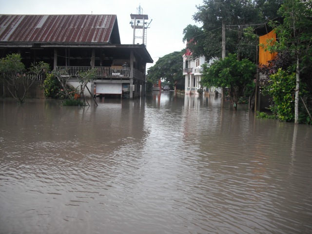 DSCF0011.JPG