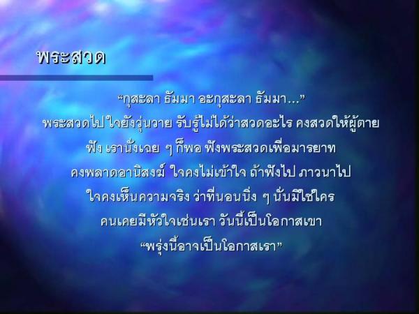 91520551pb2.jpg