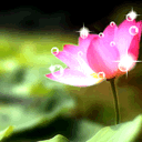 a2.gif