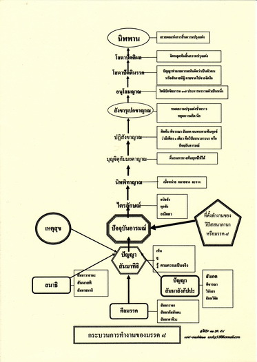 กระบวนการทำงานของมรรค 8_resize.jpg