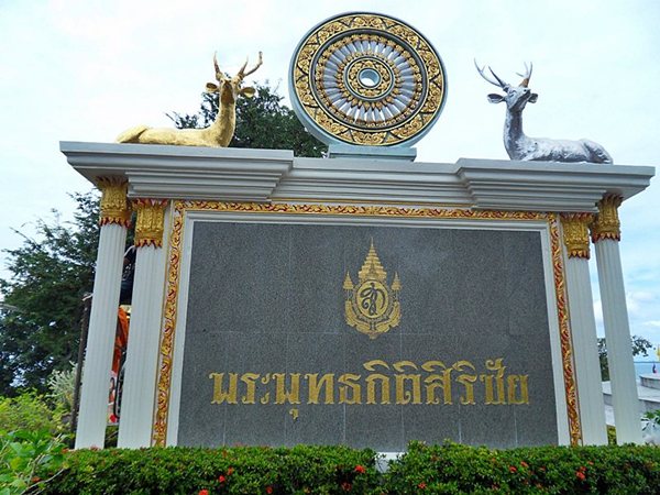 SDC11395.JPG