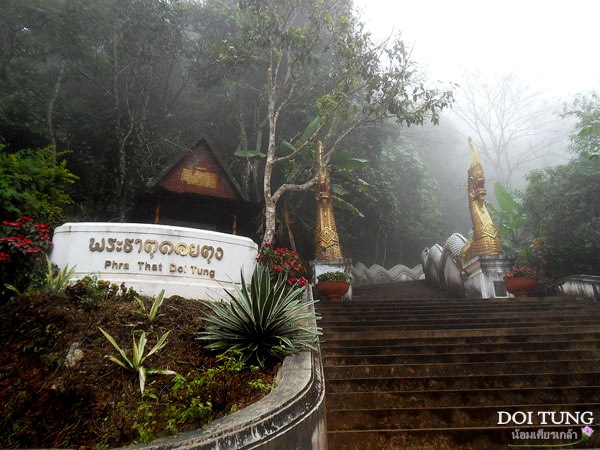 Doi-Tung15.jpg