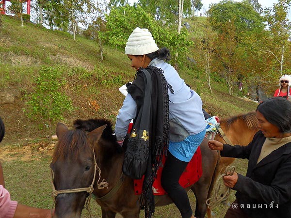 ผาตั้ง001-1.jpg