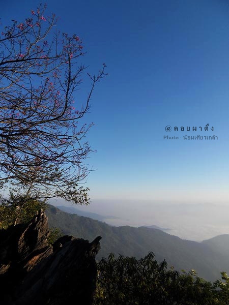 ผาตั้ง054-1.jpg