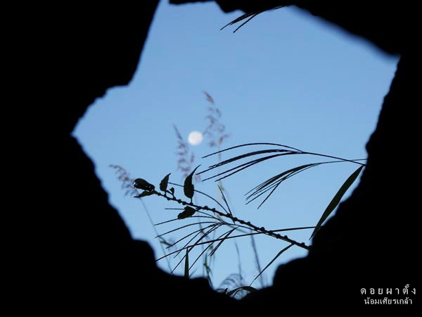 ผาตั้ง049-1.jpg