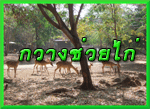deer2_banner.gif