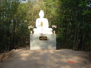 J11899888-6.jpg