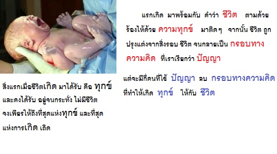 เด็กร้อง.jpg
