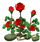 blume905.gif