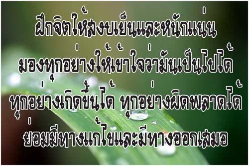 ฝึกจิต.jpg