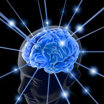 526174_138644986279475_266558610_n.jpg