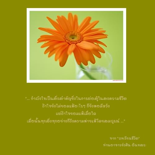 ข้อคิดพินิจธรรม 11.jpg