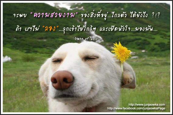 ข้อคิดพินิจธรรม 322.jpg