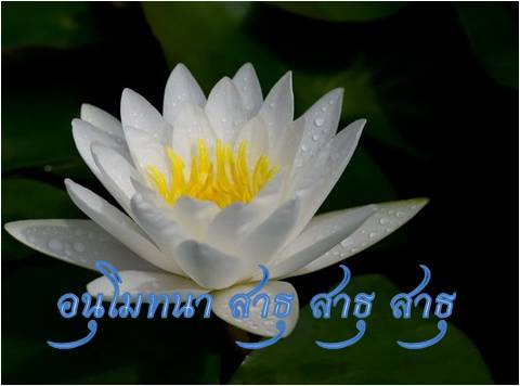 ดอกบัวขาวอนุโมทนา 5.jpg