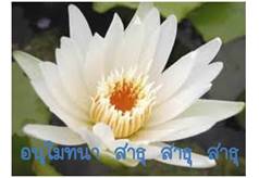 Lotus ธรรมจักร 5.jpg