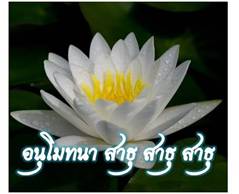 Lotus ธรรมจักร 25.jpg
