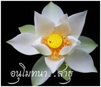 Lotus ธรรมจักร 99.jpg