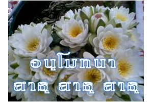 ดอกบัวธรรมจักร 6.jpg