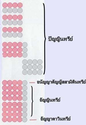 ปัญญามี ๔ ระดับ.JPG